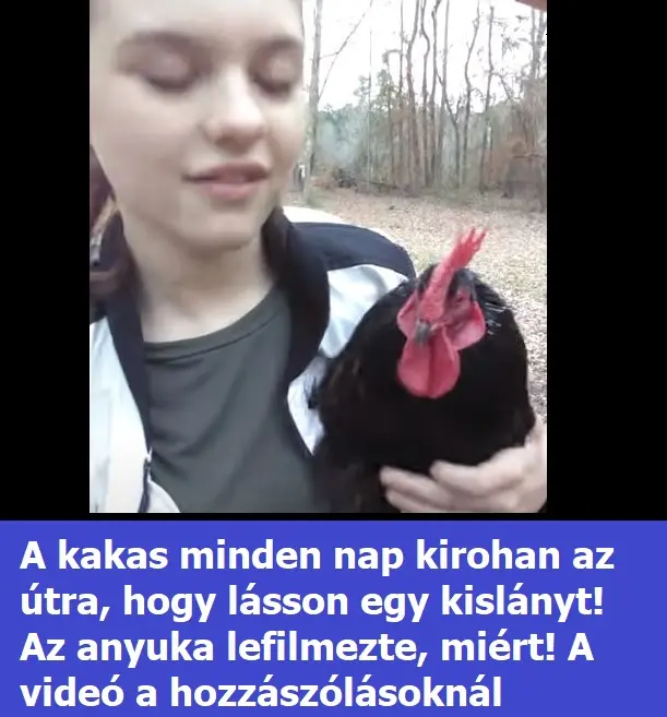 kakas 90966054292786188 n