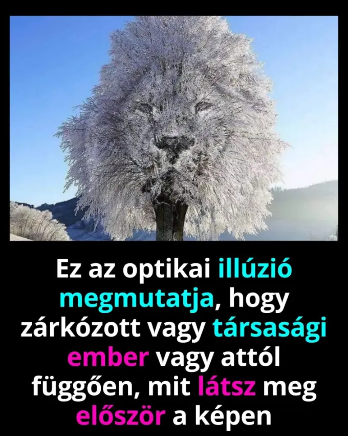 illuzio2176733692211499887 n