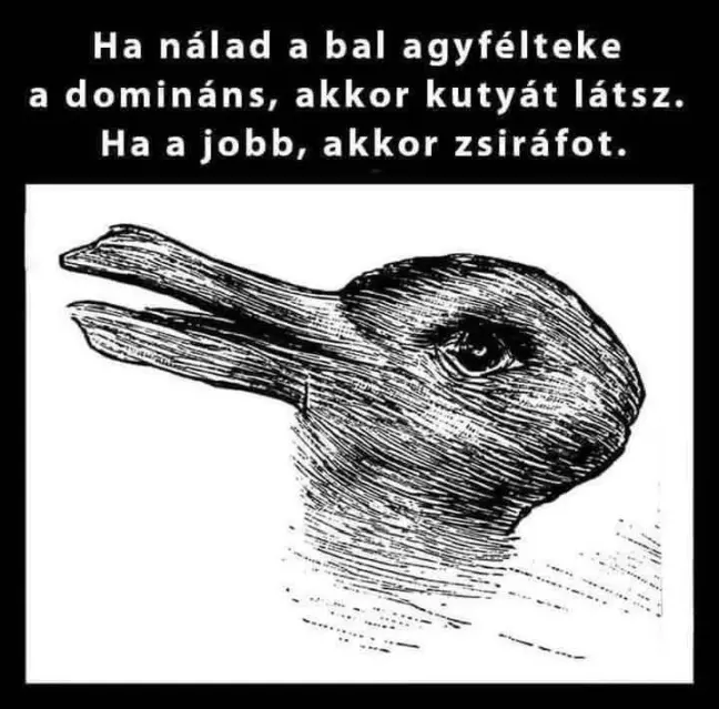 nyul71565872163158 n