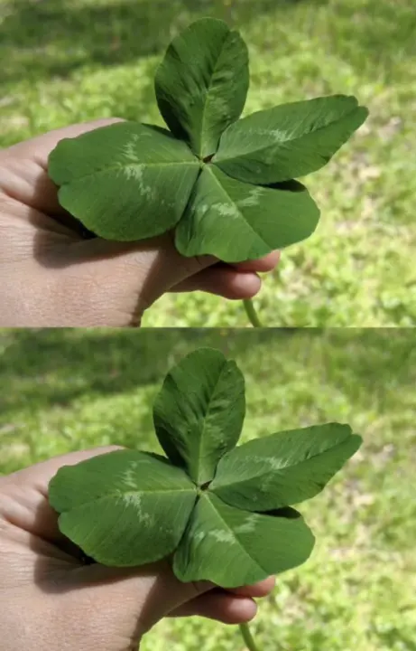 Ez a 4 csillagjegy EXTRA mázlista lesz a holnapi naptól!