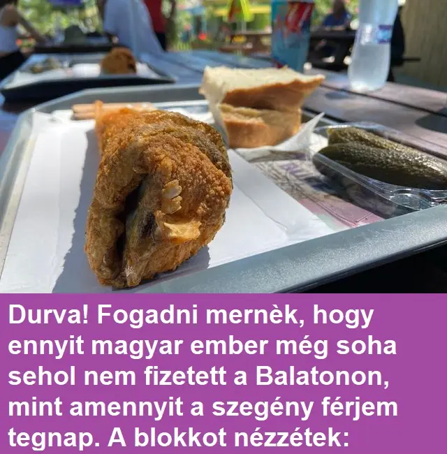 Durva! Fogadni mernèk, hogy ennyit magyar ember még soha sehol nem fizetett a Balatonon, mint amennyit a szegény férjem tegnap. A blokkot nézzétek: