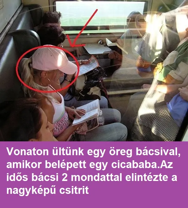 Vonaton ültünk egy öreg bácsival, amikor belépett egy cicababa.Az idős bácsi 2 mondattal elintézte a nagyképű csitrit